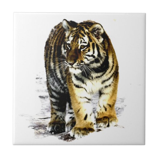 Tiger Fliese (Vorderseite)