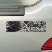 Tiger Flüchtige Blick-a-Boo-Autoaufkleber Autoaufkleber (Auf Auto)