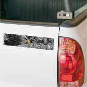 Tiger Flüchtige Blick-a-Boo-Autoaufkleber Autoaufkleber (Auf Lkw)
