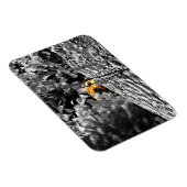 Tiger Flüchtige Blick-a-boo Flexible Magnet (Rechte Seite)