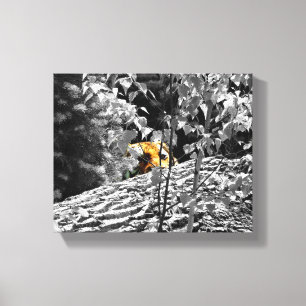 Tiger Flüchtige Blick-a-Boo-Leinwand 10x8 Leinwanddruck