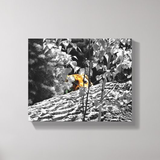 Tiger Flüchtige Blick-a-Boo-Leinwand 10x8 Leinwanddruck (Vorderseite)