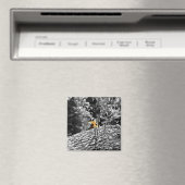 Tiger Flüchtige Blick-a-boo Magnet (In Situ (Geschirrspüler))