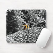 Tiger Flüchtige Blick-a-boo Mousapad Mousepad (Mit Mouse)