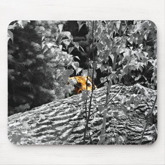 Tiger Flüchtige Blick-a-boo Mousapad Mousepad (Vorne)