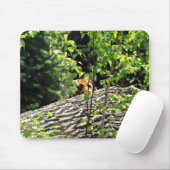 Tiger Flüchtige Blick-a-boo Mousepad (Mit Mouse)