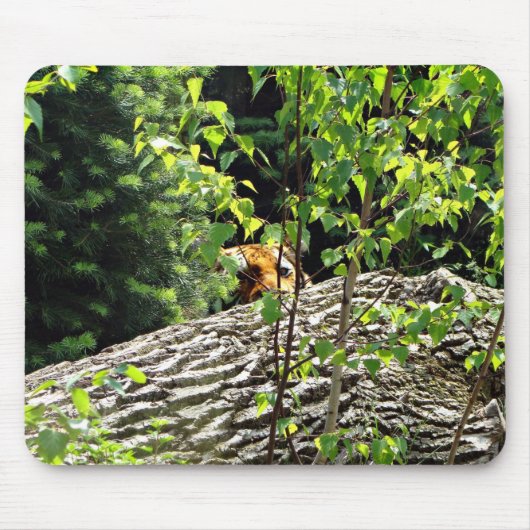Tiger Flüchtige Blick-a-boo Mousepad (Vorne)