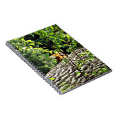Tiger Flüchtige Blick-a-Boo-Notebook Notizblock (Rechte Seite)