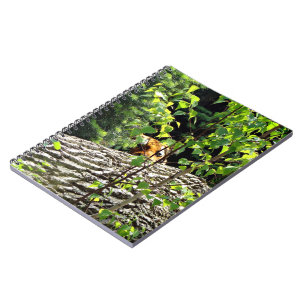 Tiger Flüchtige Blick-a-Boo-Notebook Notizblock