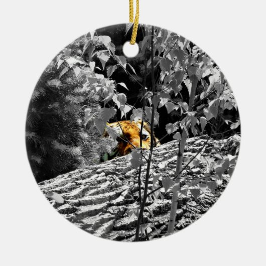 Tiger Flüchtige Blick-a-Boo-Ornament Keramik Ornament (Vorne)