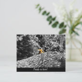 Tiger Flüchtige Blick-a-boo Postkarte (Stehend Vorderseite)