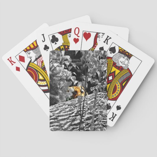 Tiger Flüchtige Blick-a-Boo Spielkarten (Rückseite)