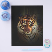 Tiger Flyer (Einzeln)