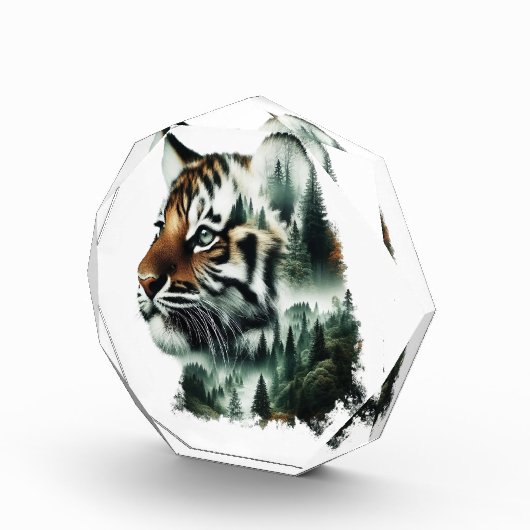 Tiger Forest  Fotoblock (Rechts)