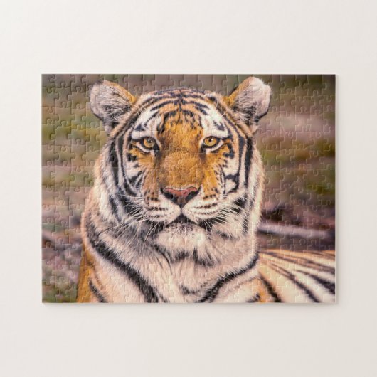 Tiger Foto Portrait Puzzle (Horizontal)