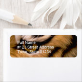 Tiger Foto Rücksendeadresse (Insitu)