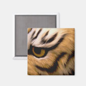 Tiger Foto Square Magnet (Vorderseite/Rückseite)