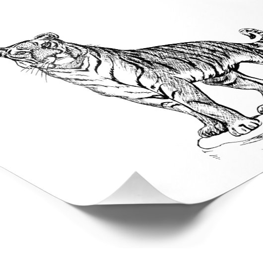 Tiger Fotodruck (Ecke)