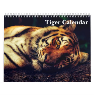 Tiger-Fotografie Wildtier 2027 Kalender