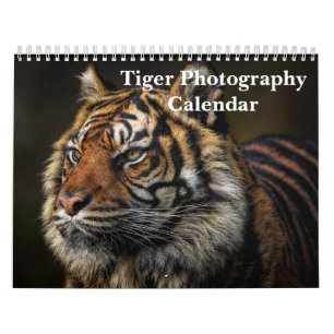 Tiger-Fotografie Wildtier 2027 Kalender
