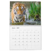 Tiger Fotografy Wild Animal 2017 Kalender (Mär 2027)