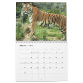 Tiger Fotografy Wild Animal 2017 Kalender (Feb 2027)