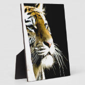 Tiger Fotoplatte (Seite)