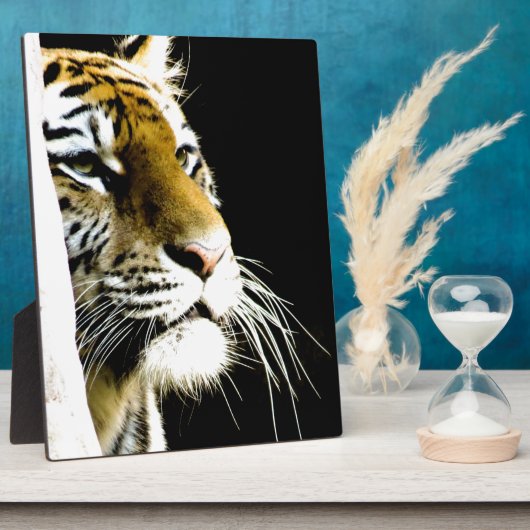 Tiger Fotoplatte (Seite)