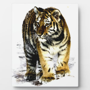 Tiger Fotoplatte