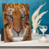 Tiger Fotoplatte (Seite)