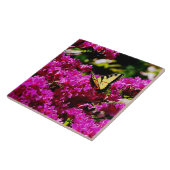 Tiger-Frack auf Azalea Fliese (Seite)