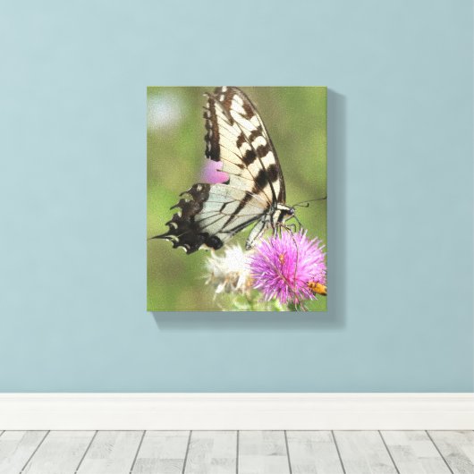 Tiger-Frack auf der Thistle Leinwanddruck (Insitu (Holzboden))