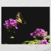 Tiger-Frack auf Phlox (Rückseite)