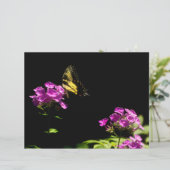 Tiger-Frack auf Phlox (Stehend Vorderseite)