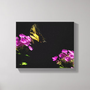 Tiger-Frack auf Phlox Leinwanddruck