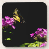 Tiger-Frack auf Phlox - Sommer Getränkeuntersetzer (Vorderseite)