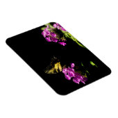 Tiger-Frack auf Phlox - Sommer Magnet (Rechte Seite)