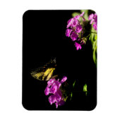 Tiger-Frack auf Phlox - Sommer Magnet (Vertikal)