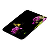 Tiger-Frack auf Phlox - Sommer Magnet (Linke Seite)