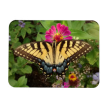 Tiger Frack Butterfly 3"x4 Magnet