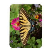 Tiger Frack Butterfly 3"x4 Magnet (Vertikal)