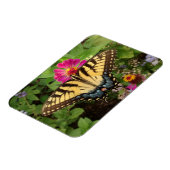 Tiger Frack Butterfly 3"x4 Magnet (Linke Seite)