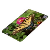 Tiger Frack Butterfly 4"x6" Magnet (Linke Seite)
