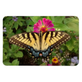 Tiger Frack Butterfly 4"x6" Magnet (Horizontal)