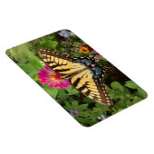 Tiger Frack Butterfly 4"x6" Magnet (Rechte Seite)