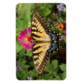 Tiger Frack Butterfly 4"x6" Magnet (Vertikal)