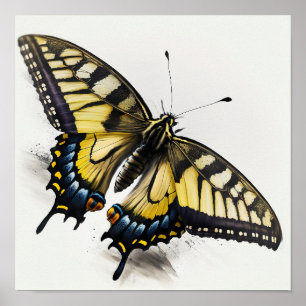 Tiger Frack Butterfly Art Print Poster