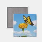 Tiger Frack Butterfly auf einer Blume Magnet (Vorderseite/Rückseite)