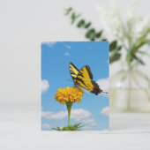Tiger Frack Butterfly auf einer Blume Postkarte (Stehend Vorderseite)