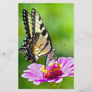 Tiger Frack Butterfly Briefpapier